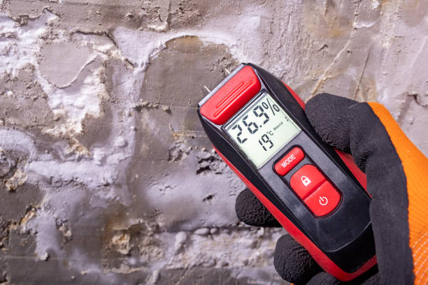 Best Professional Mold Removal  in Red Oak, IA