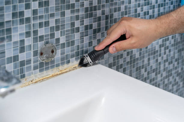 Best Affordable Mold Removal  in Red Oak, IA